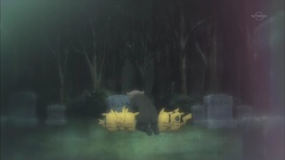 xy (271)
