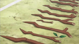 xy (32)