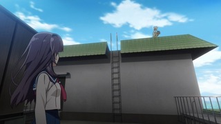 cap (18)