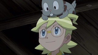 xy (30)
