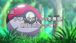 poke (205)