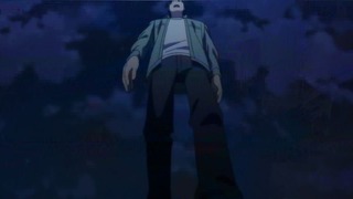 cap (113)