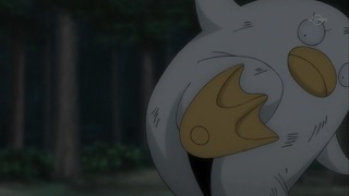 cap (13)
