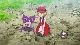xy (54)