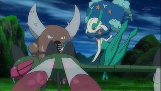 xy (56)