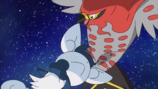 xy (154)