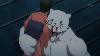 cap (133)