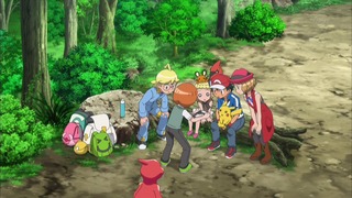 xy (43)