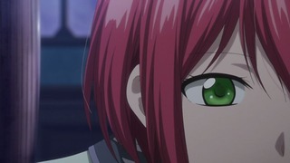 cap (228)