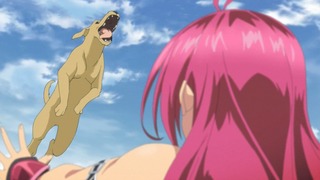 cap (8)