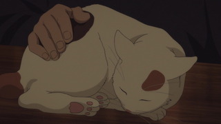 cap (49)