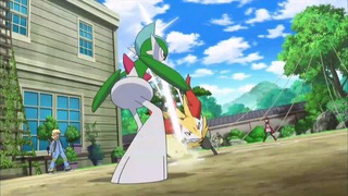 xy (103)