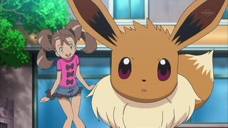 xy (152)
