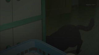 ne (4)