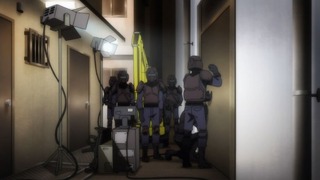 cap (13)