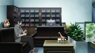 cap (18)