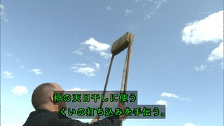 cap (19)