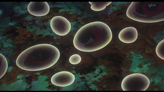 1404483620165