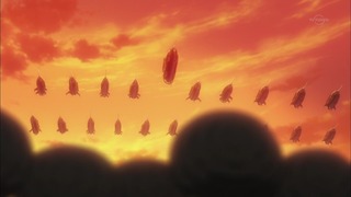 cap (226)