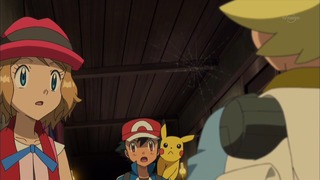 xy (33)