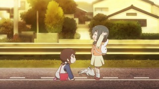 yy-206