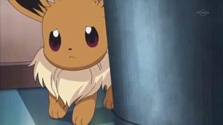 xy (81)