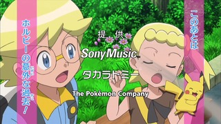 xy (17)