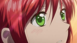 cap (13)