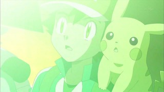 xy (96)