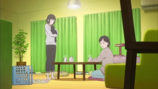 ne (27)