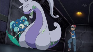 xy (84)