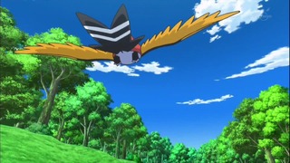 xy (134)