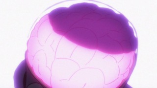 cap (256)