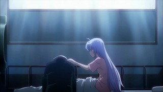 446