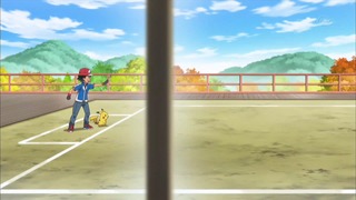 xy (53)