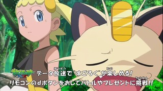 xy (24)