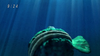 cap (87)