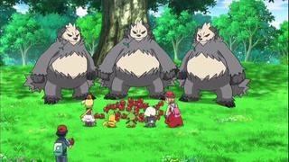 xy (162)