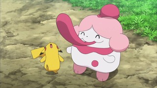xy (57)