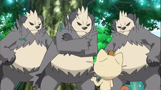 xy (150)