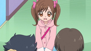 coco-128