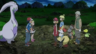 xy (53)