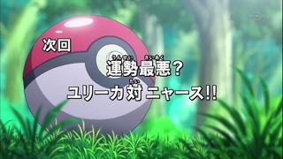 xy (203)