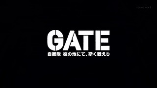 gate (167)