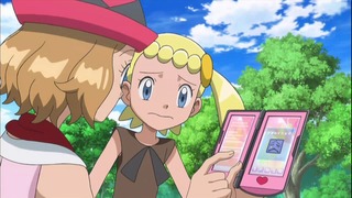 xy (6)