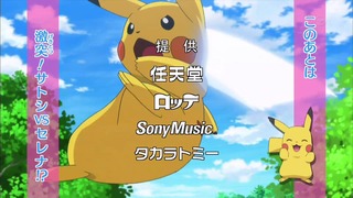 xy (12)