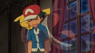 xy (63)