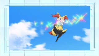 xy (207)