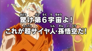cap (230)