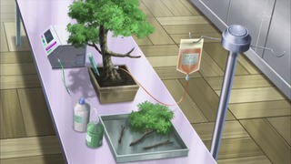 xy (77)